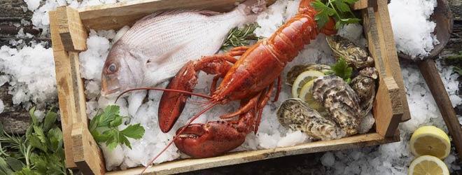 �������ʾ�������������