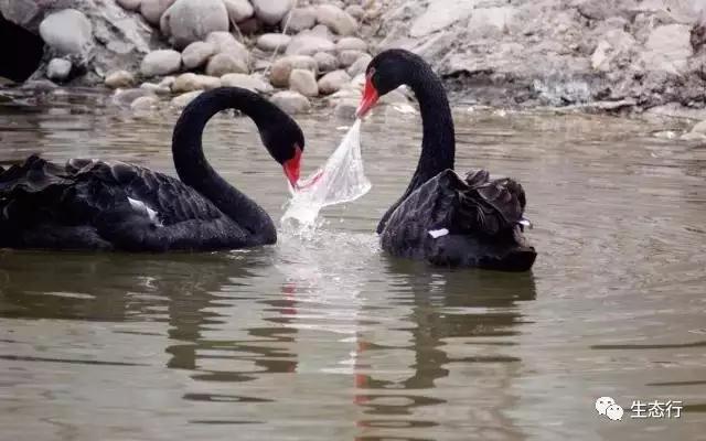 �й���������ȫ�����һ����̬�ƽ�