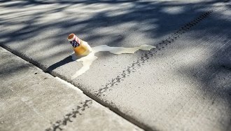 �������������������۲���Ԥ�ڣ���Ķ����������ã�