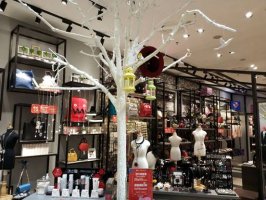 ̽�ꡰ�����ѡ�����ٻ�ҵΪʲôҪ��������·��