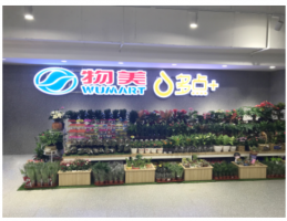 ��call��ͳ�̳������Dmall�����۵�����һԱ