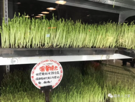 陈列速记法,手把手教你做好陈列(附图)