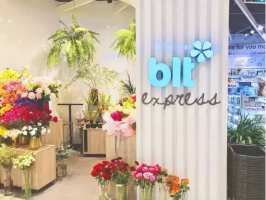 ���������ر�������blt express