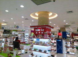 �������ȫ���ӹ�˾������10%��Ȩ�ĳ��������