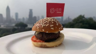 国产人造肉公司珍肉年内寻求募资