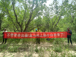 �ƽ��½�С���ӵķ��� ���������ġ�������