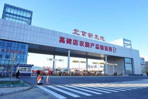 �·��ر���63�죺7000���̻����������Ծ�