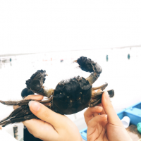 ���ָ������ݽ������ʽǩԼ Ʒ�����κ���բз��������