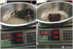 �����ӻ������з�����Ȱ�װ�����⾭��������