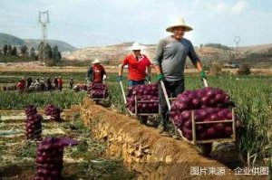 �Ӵ�Ͷ�����Ʋ��ؽ��� ƴ�����ũ��Ʒ��ԭ����ֱ���������������