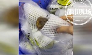 �����Եף���������ʢ��ѡ��������Ļ