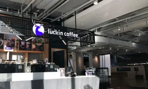 �Ϲɶ������� ���и�������
