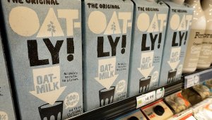 ����Ͷ�ʵ�������Ʒ��OATLY�ɹ����У����������ǽ�19%