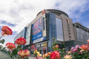 ������������ ������ó�̳�17��ı��벻��