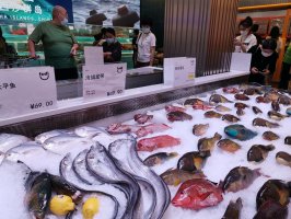 ���App�ı���������ϰ�� �����̳����ʵ�ת������