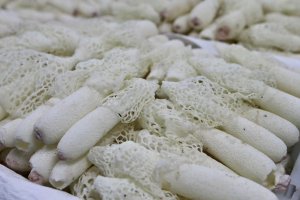 �ƽ���Ʒ��Ӧ��Ʒ��ת�ͽ���  ���ָ���Ա�겼��������ɫ����ֱ��