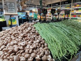 ��������ʻ��쳵�����Ա��´�ҵ������������ȫ��