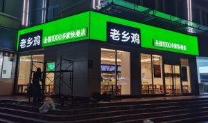 ��ʽ���Ʒ�����缦������