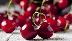 ����ĳ��������ɻ�Ҫ�ٵ�һ��