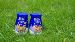 ���ֱ����ڹ��������ҵ�ӹ�˾��Ȩ���������ϵ���