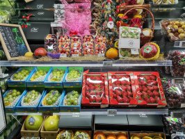 ����׬Ǯ̫���ˣ�������ÿ�����ʺ�����
