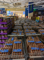 �����Ϻ�����������Ӧ��ͨ�����������幩������  