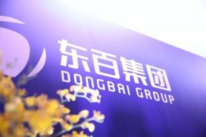 ���ټ���2021��Ӫ��18.95��Ԫ ���Ͻ��׶�ͬ������232.84%