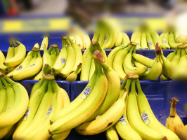 ӡ����������ƽ̨Bananas�����ر�������ӻ�ҵ��