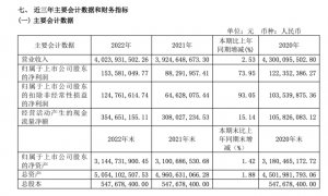 ��������2022�꾻������73.95%����������ʵ��ȫ��ӯ��