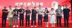 ��ֱ�����ʴ�᡿���DMALL���ǻ������۲ɹ�ʡ��ʡ����ʡǮ