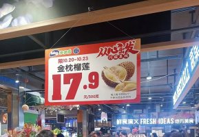 �����߳�������33�ҹ�ͣ�ŵ꣬Ҳ��ʼѧ����������һ��