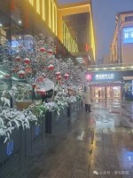 ���������ŵ����괺��ϲ�����࣬����������ζŨŨ