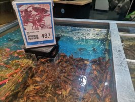 �����ʻ�С��Ϻ�ں������� ͬ��ȥ��۸��20%