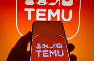 Temuռ�������г�17%�ݶ�
