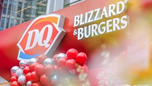 DQ���й����������