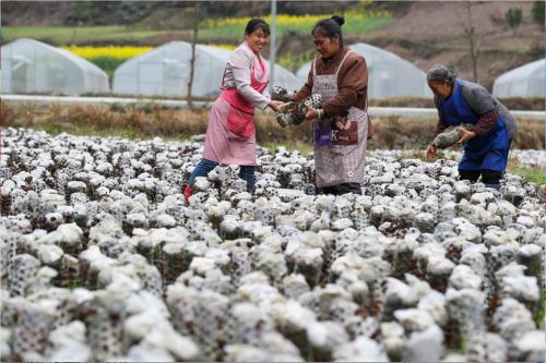 QQ��ͼ20180313171523