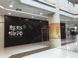 �����ԼӴ��ʳ��Ͷ�룬��������ҵ�ӿ첼�ֹ�Ӧ��������ʩ�Ľ�����