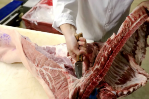 ����������ë������������5���㣬̸��������ɱ����㷽��