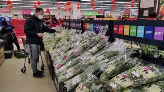 �������������������ھ������߲�ͻ��200�򹫽�