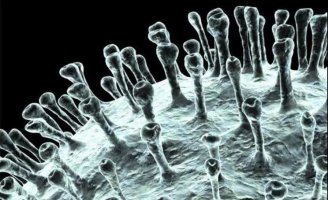 �����µ�����ʵ��꣬������6���֣��Ͳ����