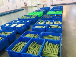 �����µġ����С�������¡������˰ѽ������ؼң�