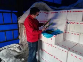 ������������������ ��ս��һ�ߡ� | �߹��ɹ���Σ��ʱ�������ǣ����Ϲ�Ӧ������ʱ��