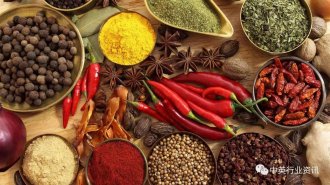 ʳ��������ҵ�������ڼ�ı�����Ͷ�ʽ���