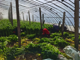 �ۼ�����1254��Ԫ�����غá�ȫ���ܰ�����ũ���ж�