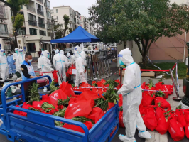 �����Ƴ����鱣���ײ� �Ϻ��ֽ������䳬5