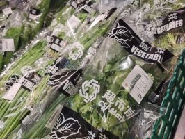 ���з������沨��������ӭ�Ѷ���