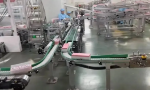 国货进山姆,中国品牌与零售业共同的进步