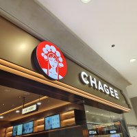 �����輧����������ս����桰������