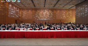 ���Ƹ��������� | 2025�й����������Ѳ�ҵ���´��ɹ��ٰ�