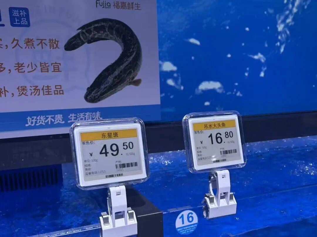 ͼƬ